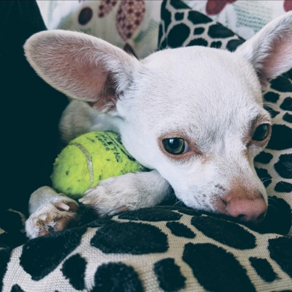 Hi I'm Maegan!! - Picture 9 of 11